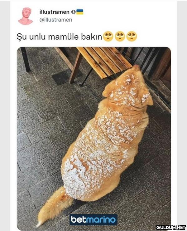 https://t.co/rFlkqUbJSl  Kaynak