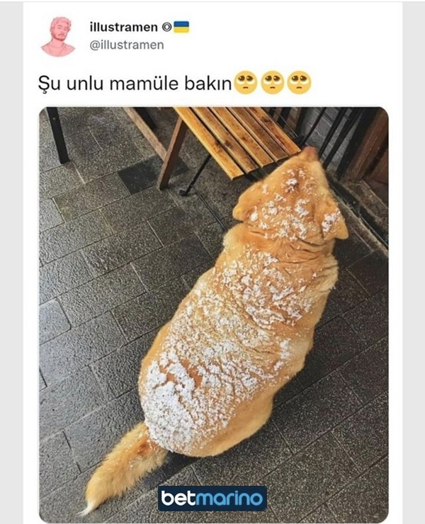 https://t.co/rFlkqUbJSl  Kaynak