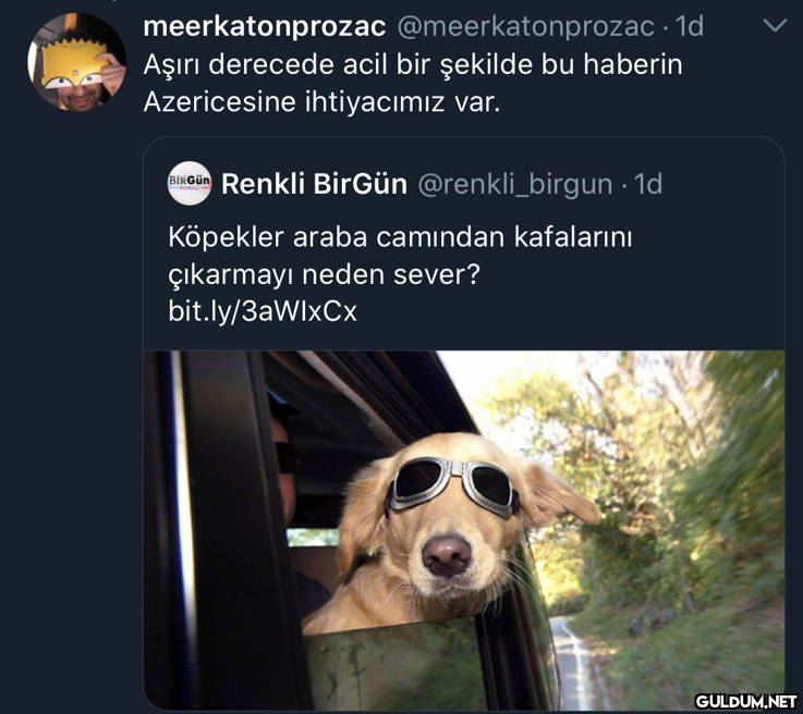 Popular post