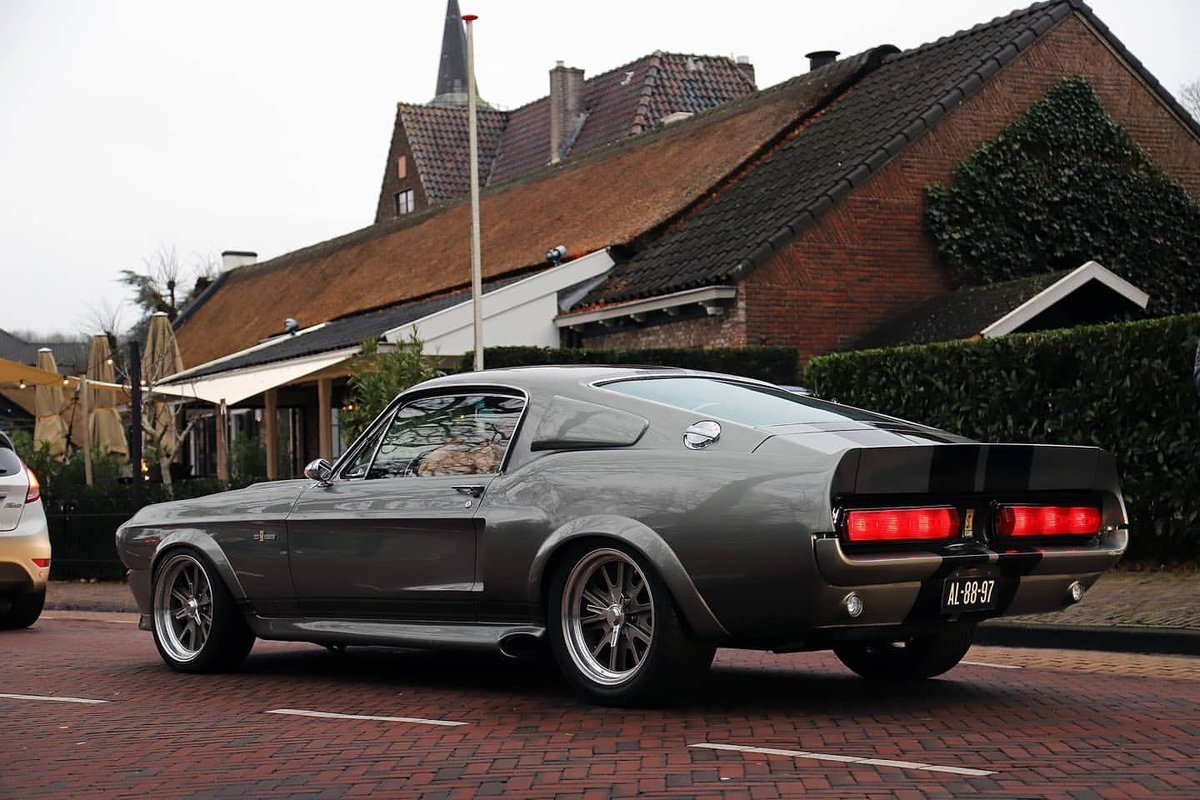 GT500 Eleanor🔥...