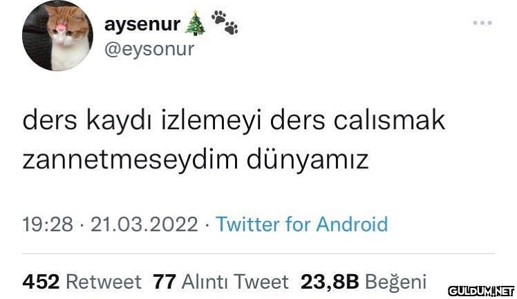 Kaynak