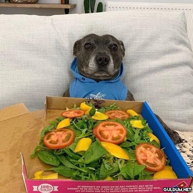 Gelen pizzaya tam...