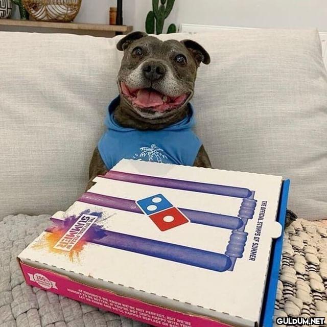 Gelen pizzaya tam...