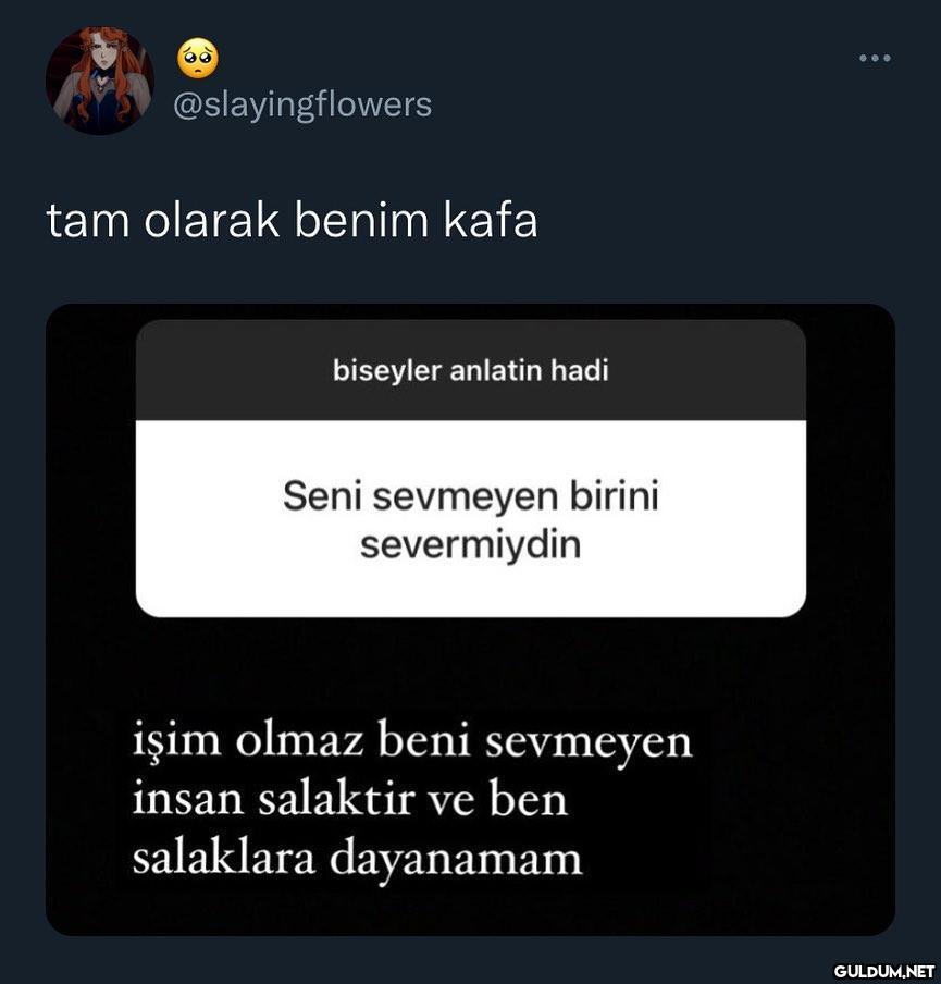 Kaynak