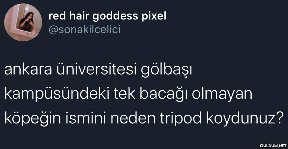 Reva mı lan bu...