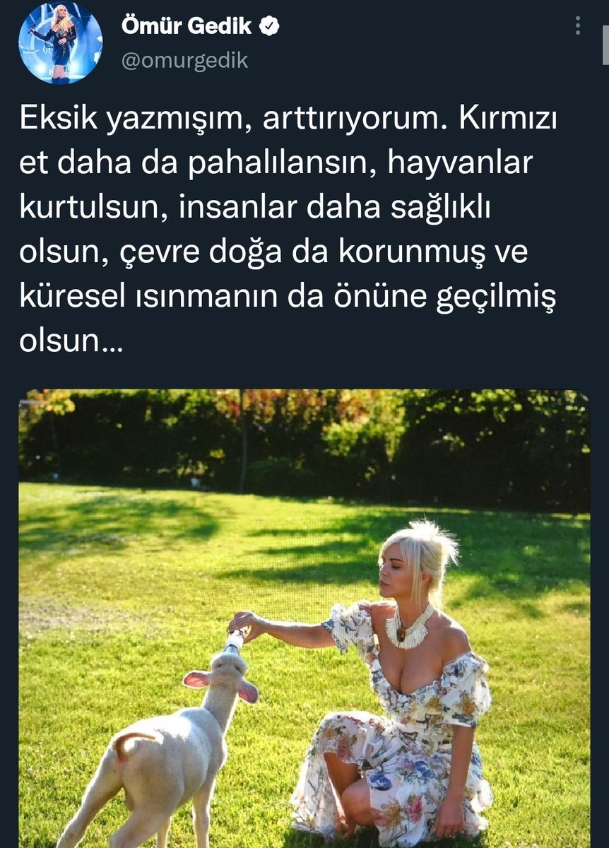aynen...