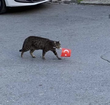 timelineda şu şekil...