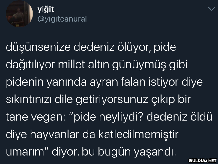 yiğit @yigitcanural...
