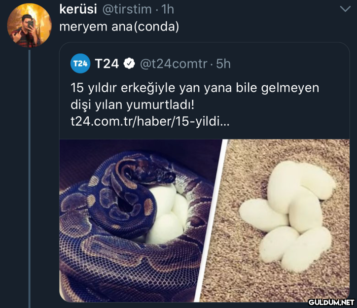 kerüsi @tirstim · 1h...