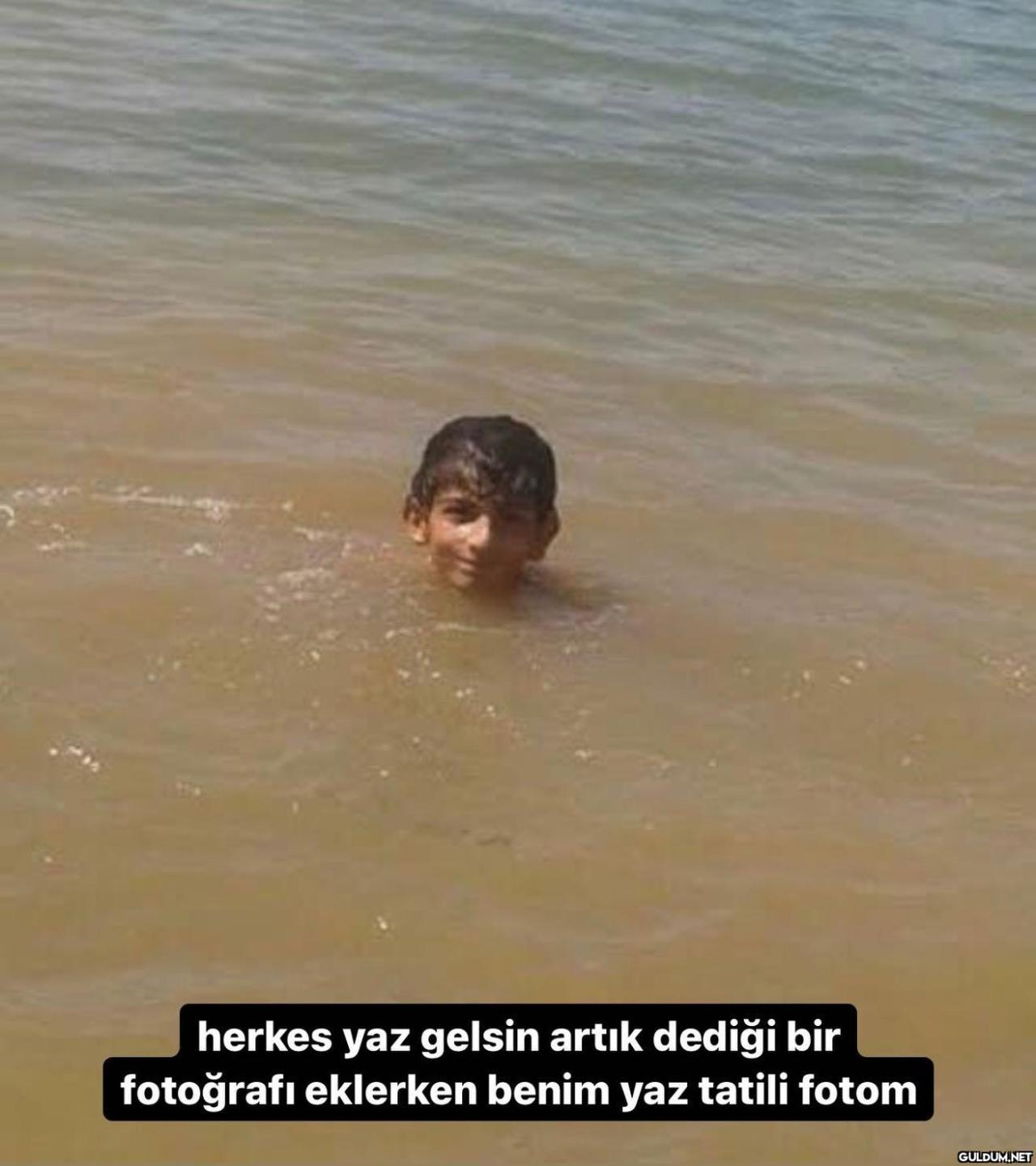 bosveryavrum/twitter ...