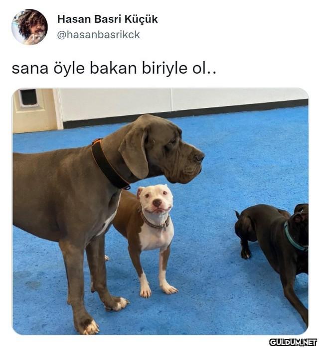Hasan Basri Küçük...