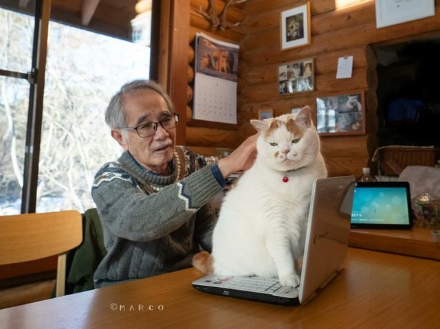 "No touching!"😾 📸...
