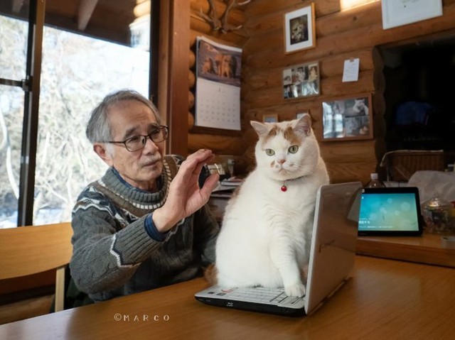 "No touching!"😾 📸...