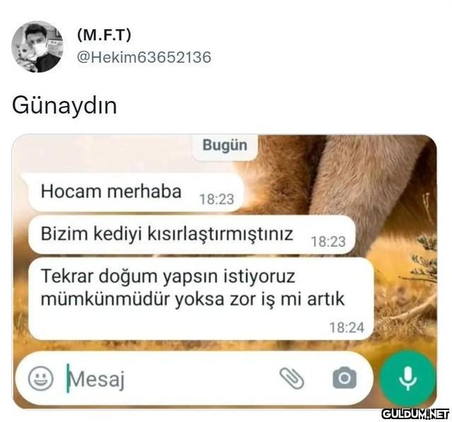 (M.F.T) @Hekim63652136...