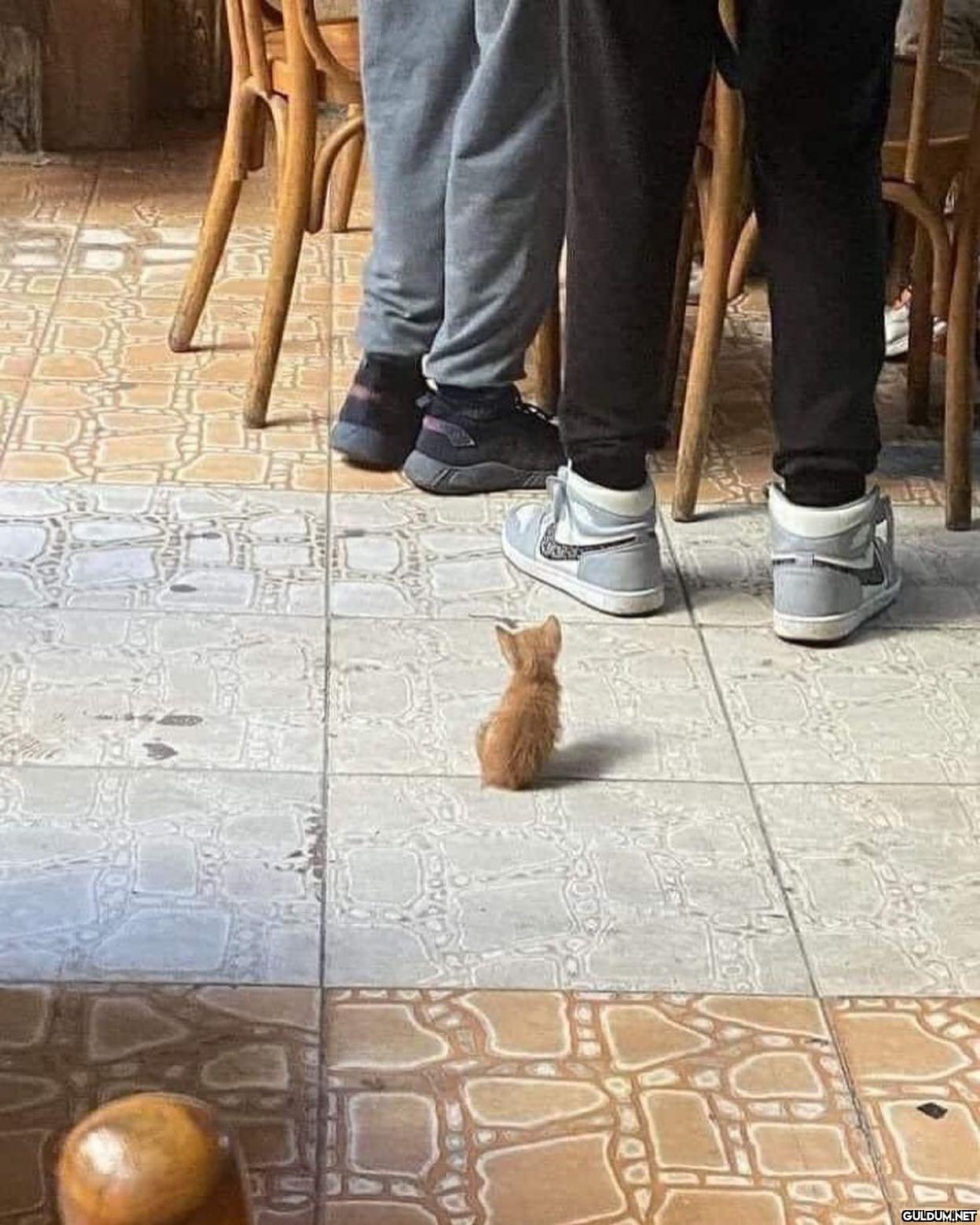 minnacık bir şey   ekinsu...