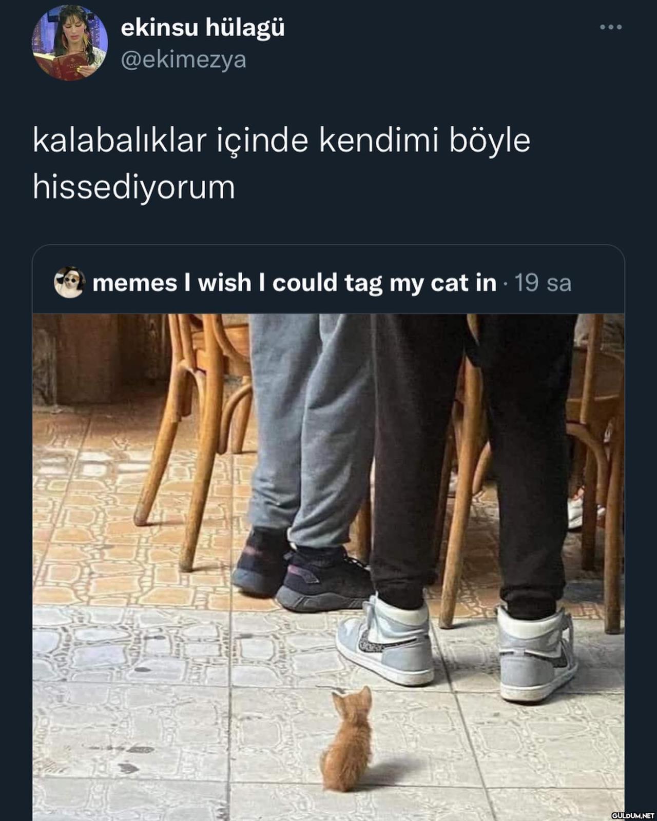 minnacık bir şey   ekinsu...