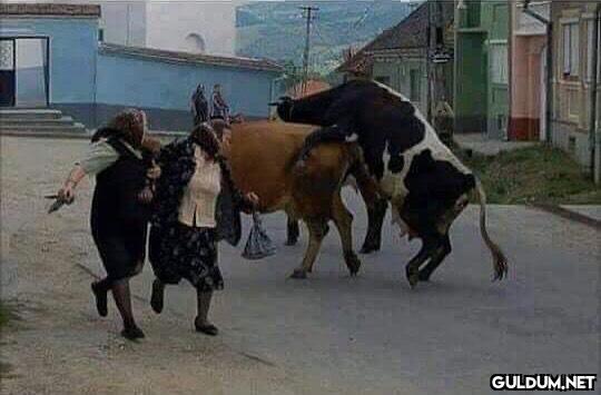 anlamsız fotoğraflar 2239  Kaynak
