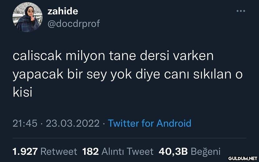 zahide @docdrprof caliscak...