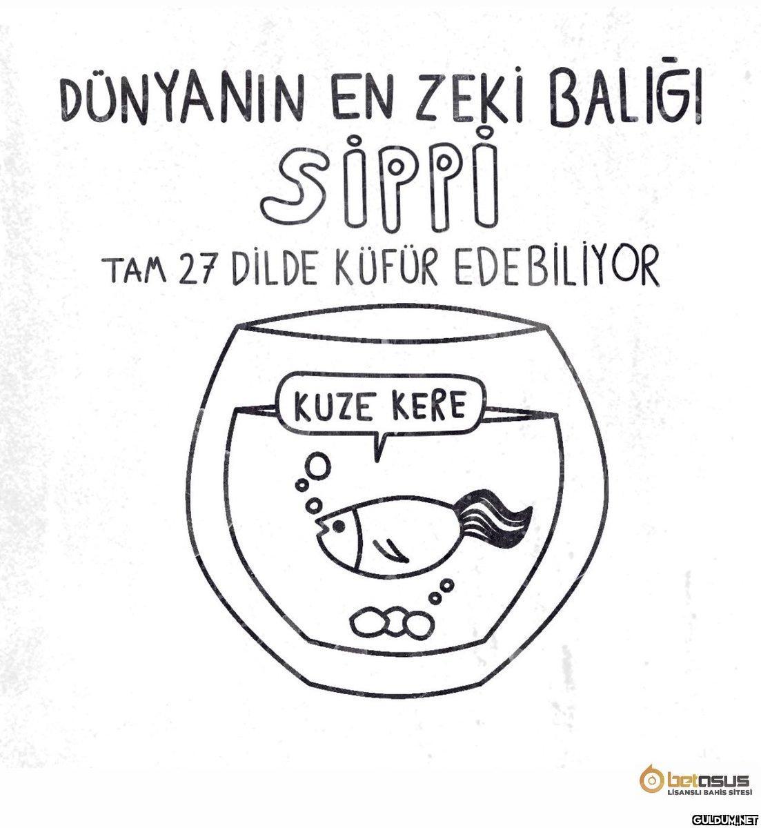 Ahahfhshhdhajdh...