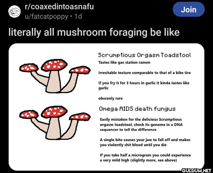 r/coaxedintoasnafu...