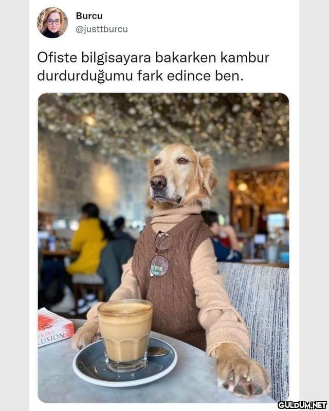 Burcu @justtburcu Ofiste...