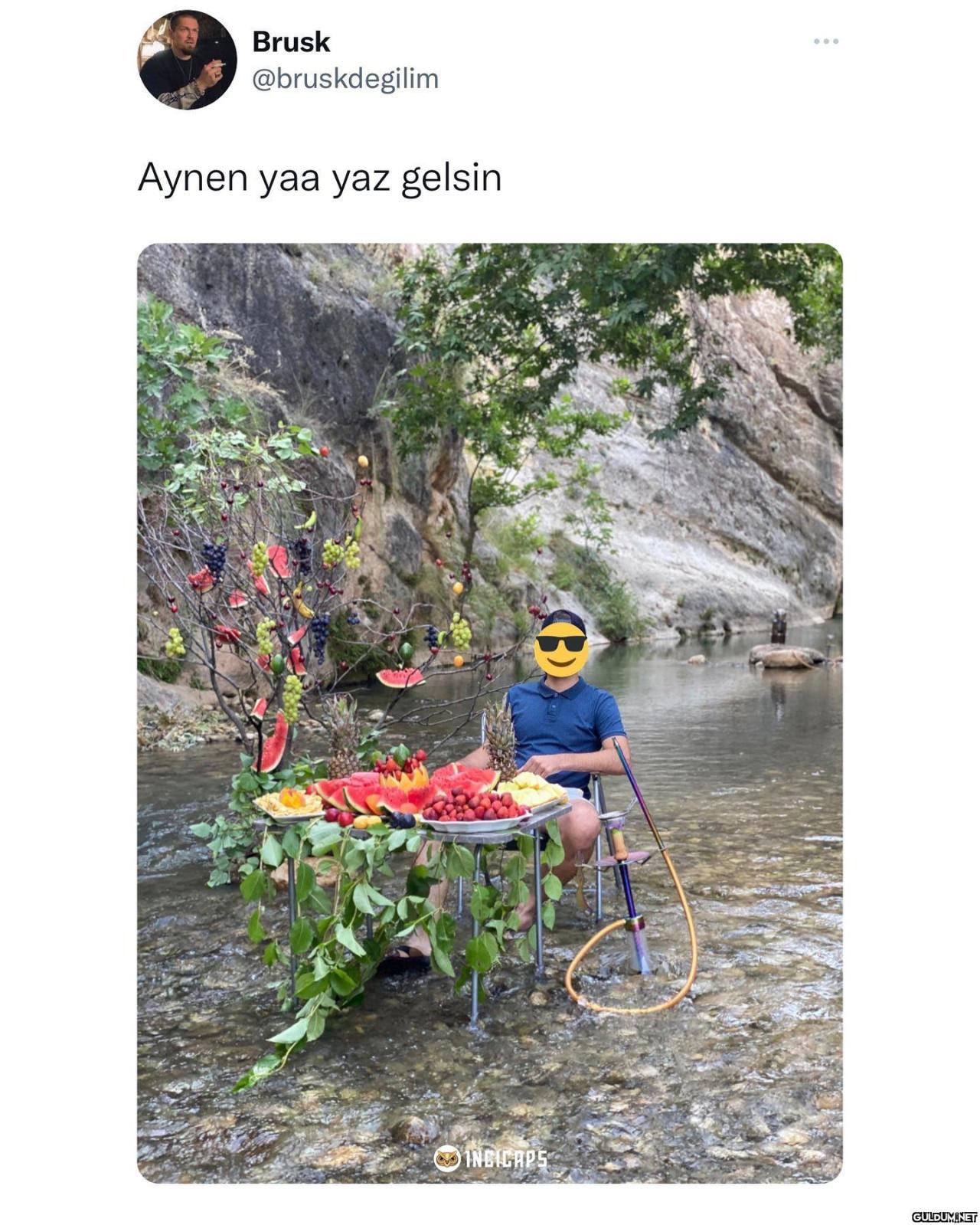 Karışık meyve ağacı  ...