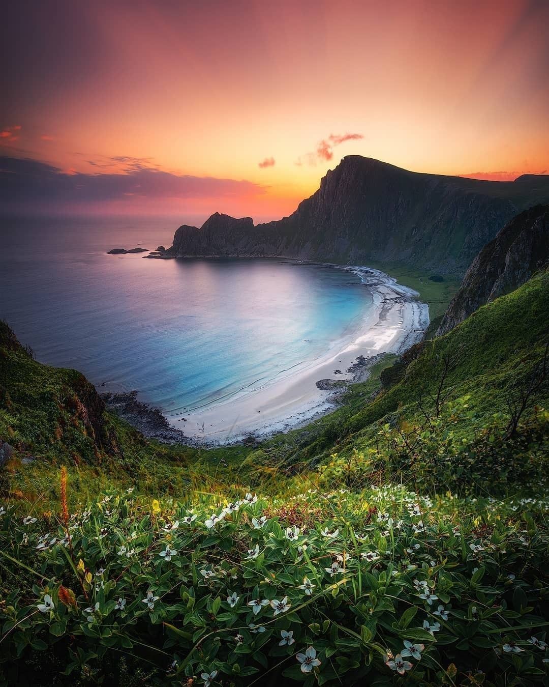@ a travel buddy you'd...