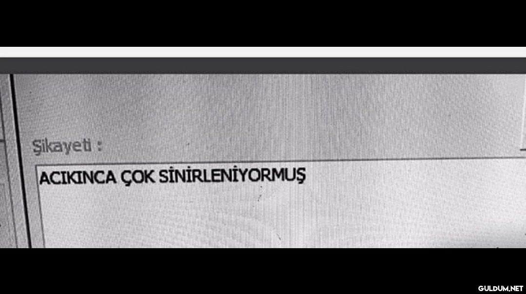 Yaşamayan yoktur...