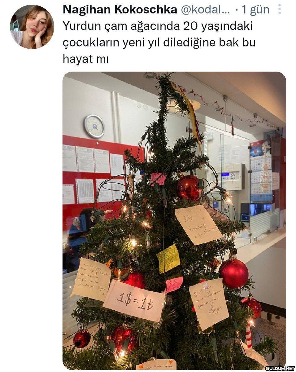 Yazık ettiniz bu ülkenin...