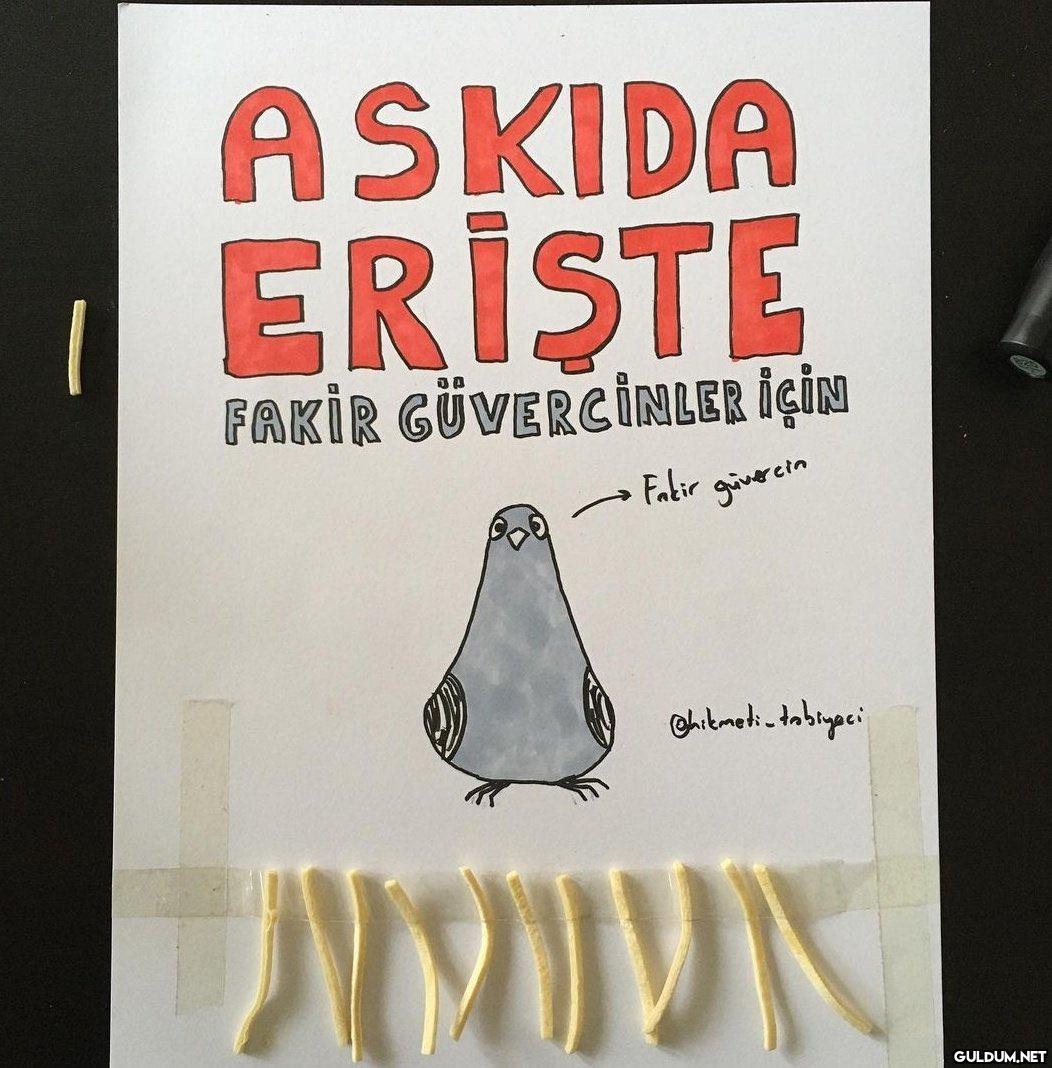 Fakir güvercinler için...