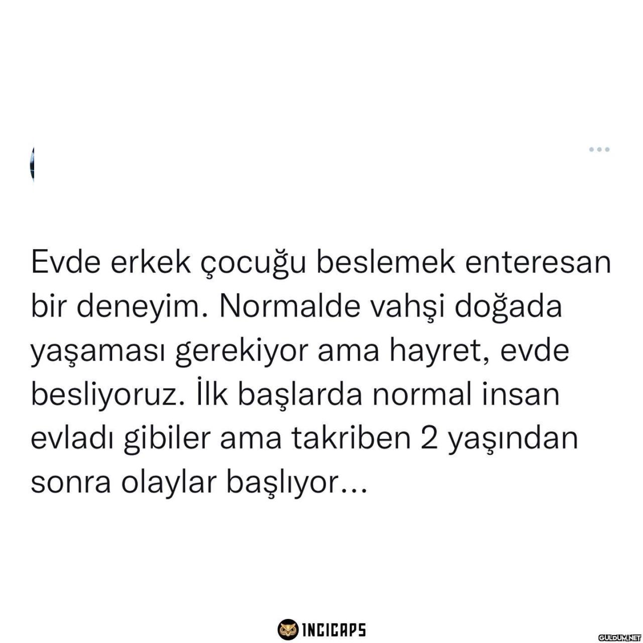 Erkek çocuk terörü   Evde...