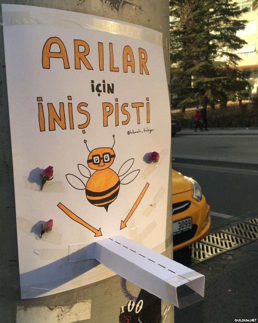 Kaydırmalı [📷...