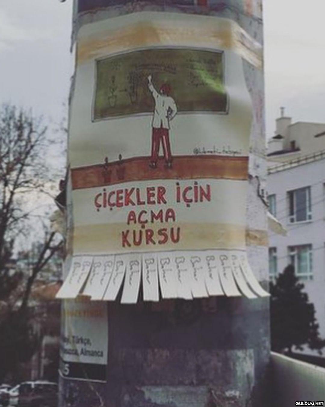 Kaydırmalı [📷...