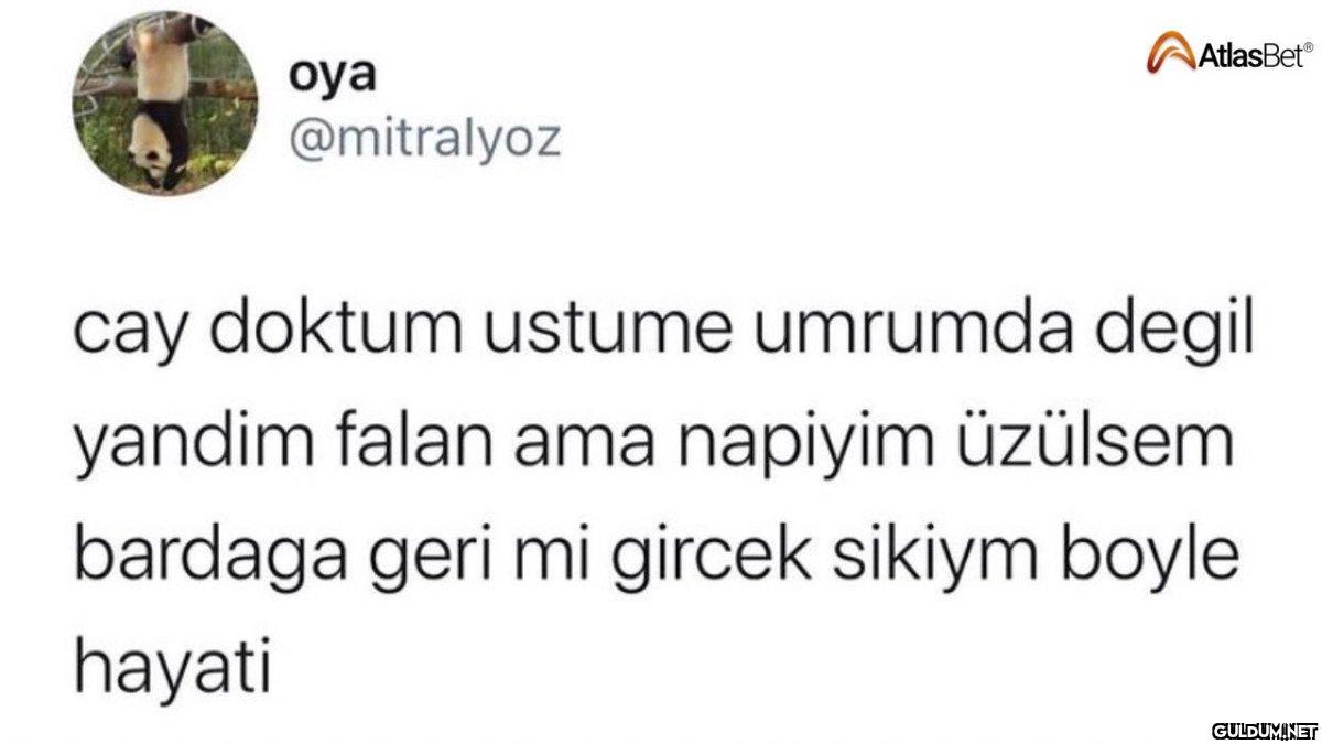 https://t.co/YtmHxcmo2n  ...