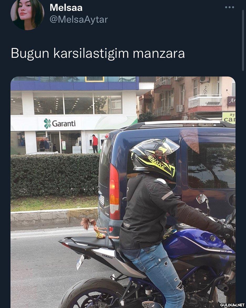 ... Melsaa @MelsaAytar...