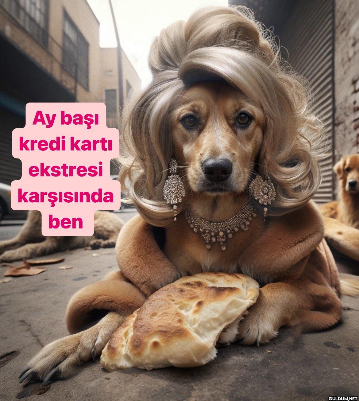 Ay başı kredi kartı...