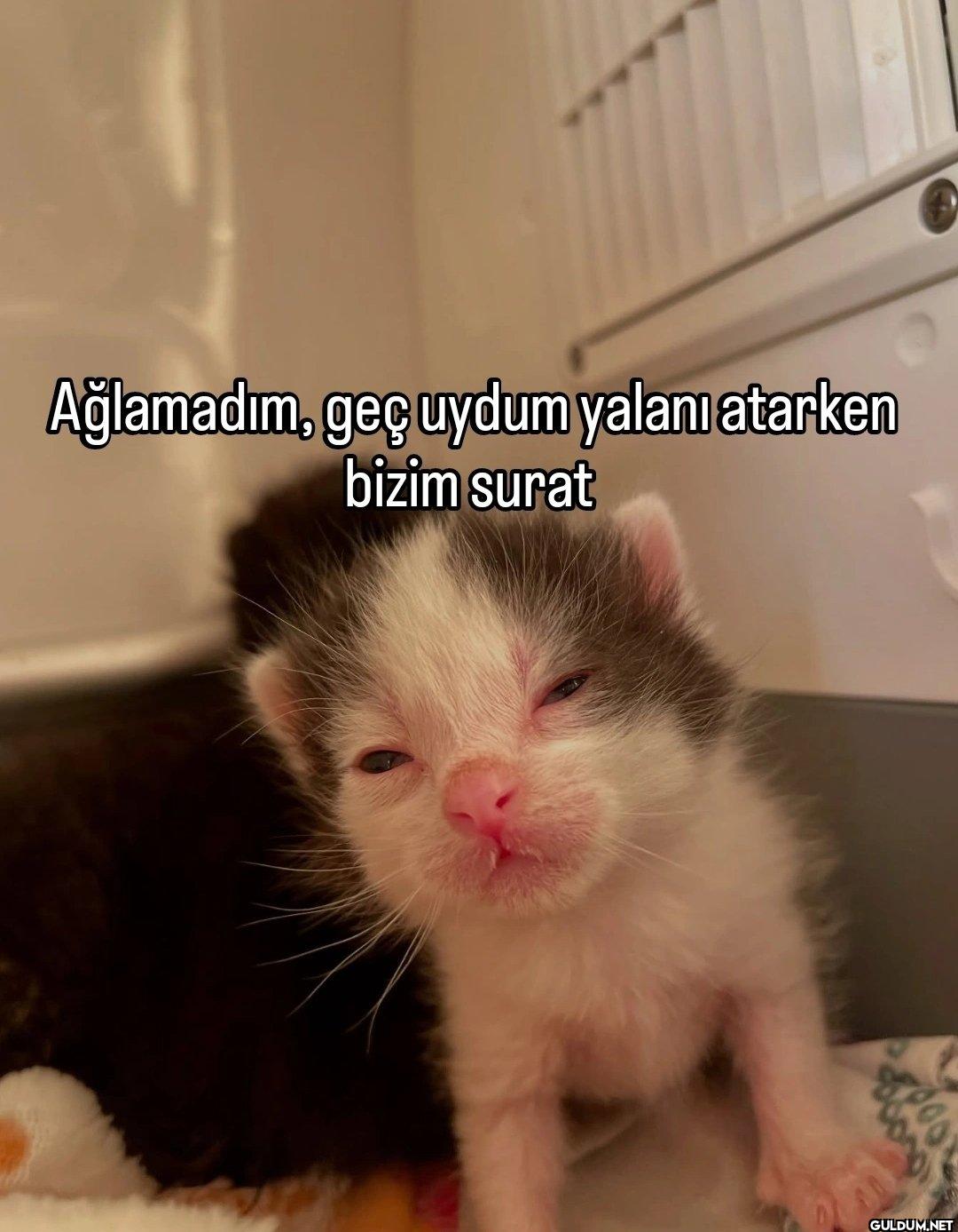 Ağlamadım, geç uydum...