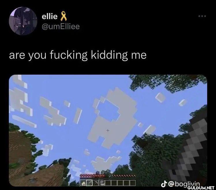 are you fucking kidding me