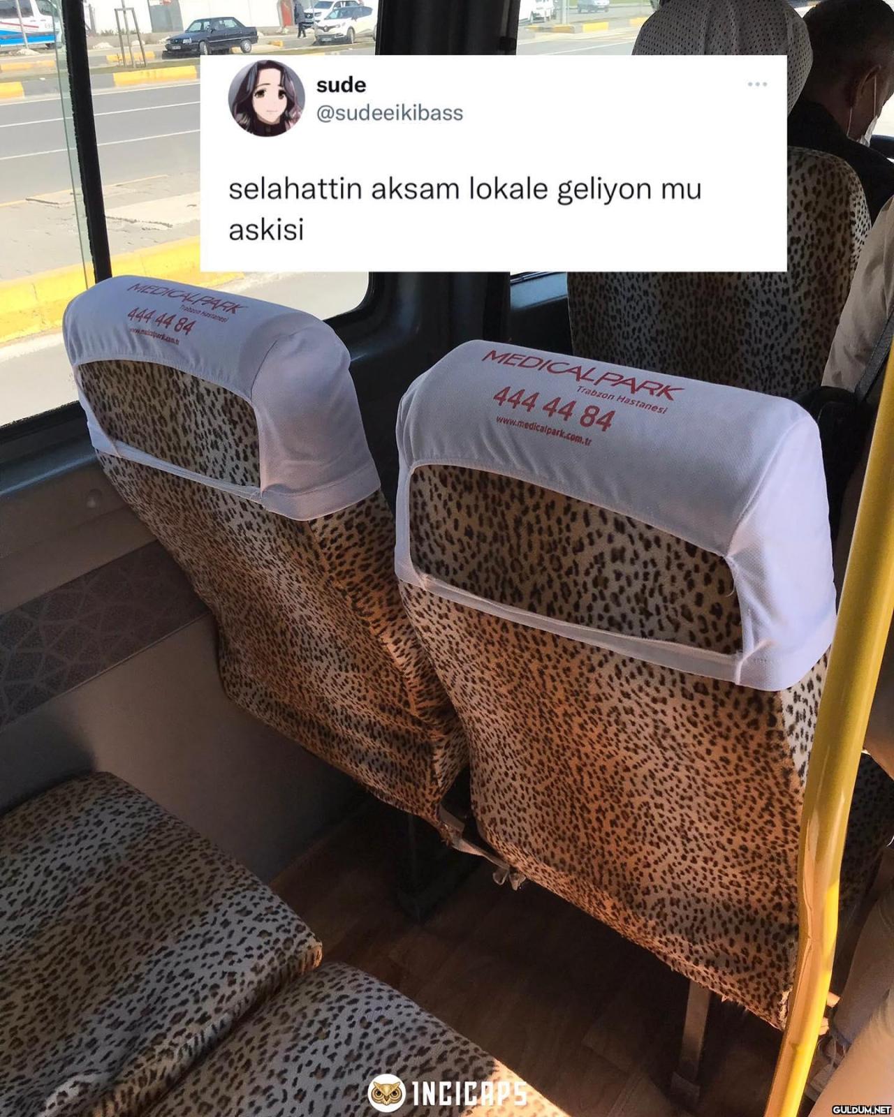 ... sude @sudeeikibass...