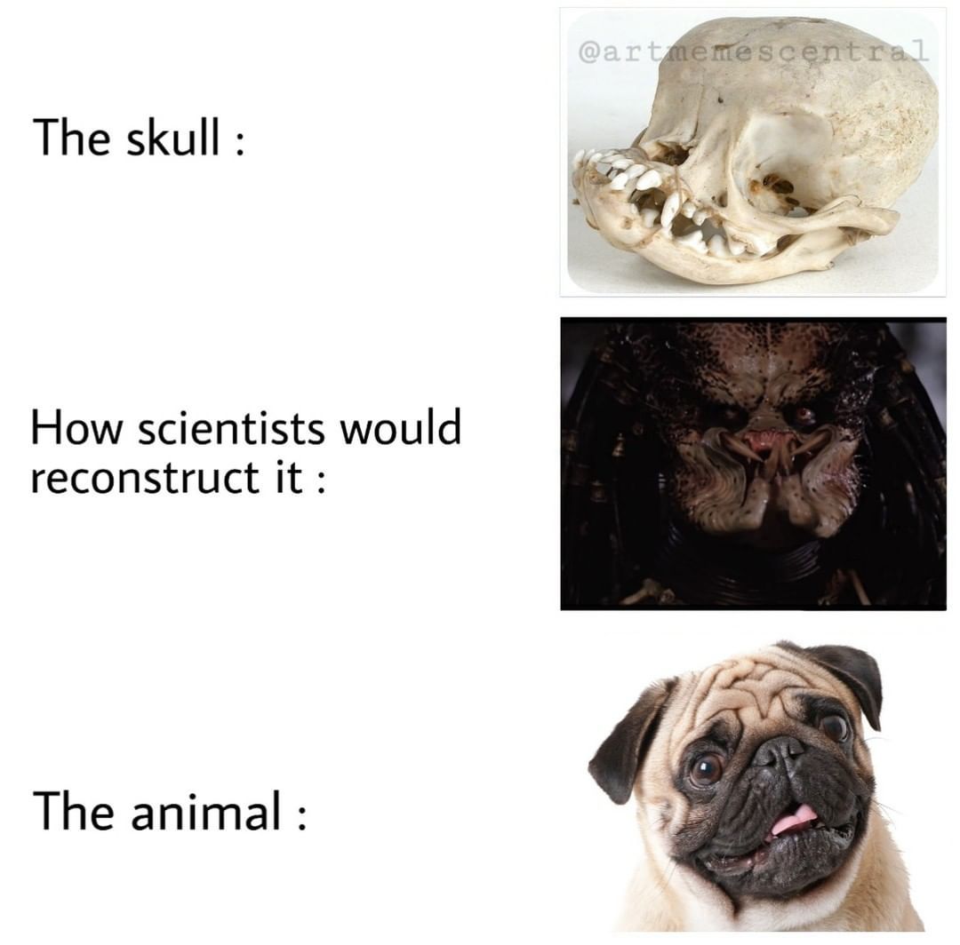 . . . #nichememes...