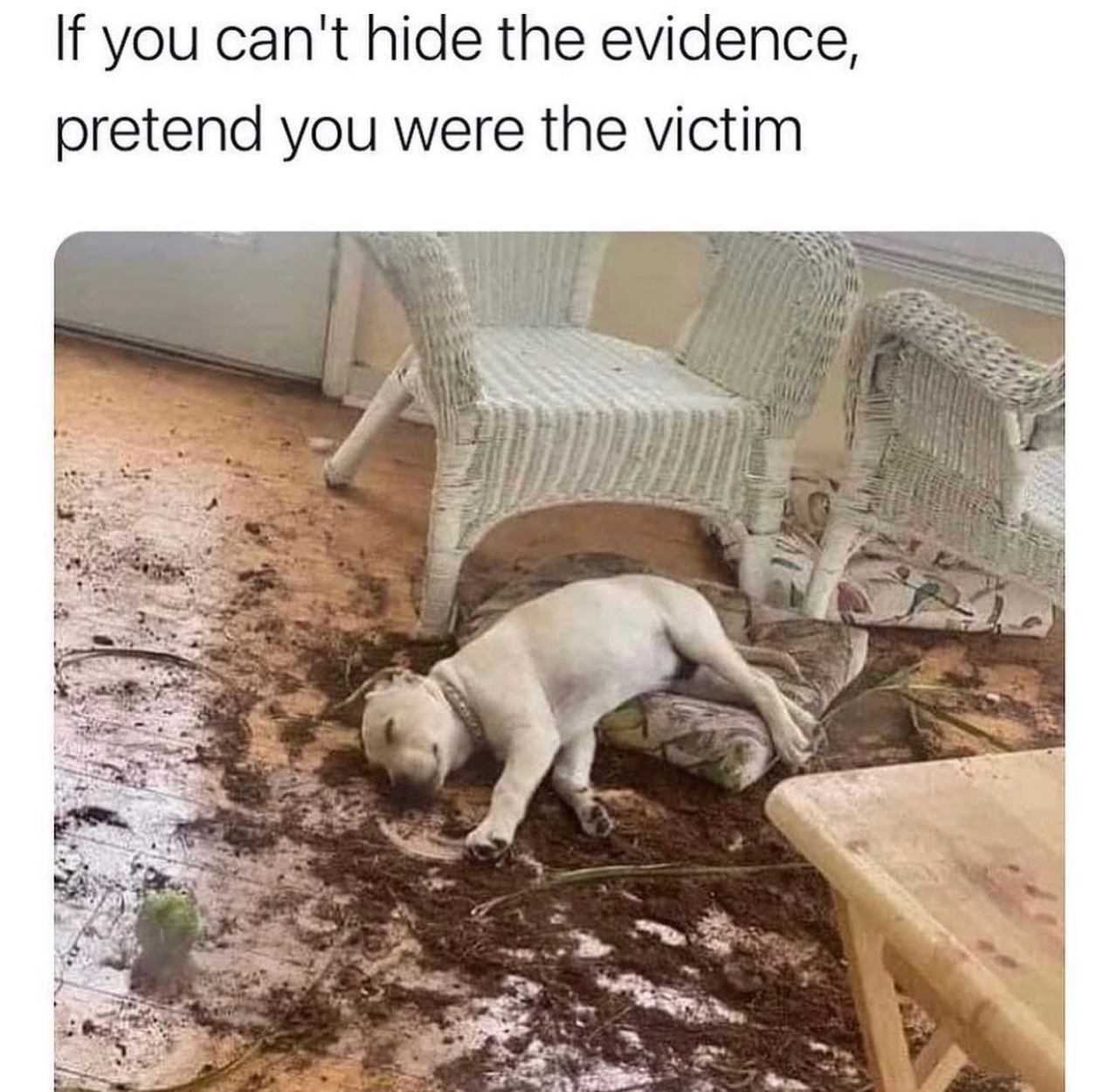 @allofyourproblemsever 🐶  Kaynak