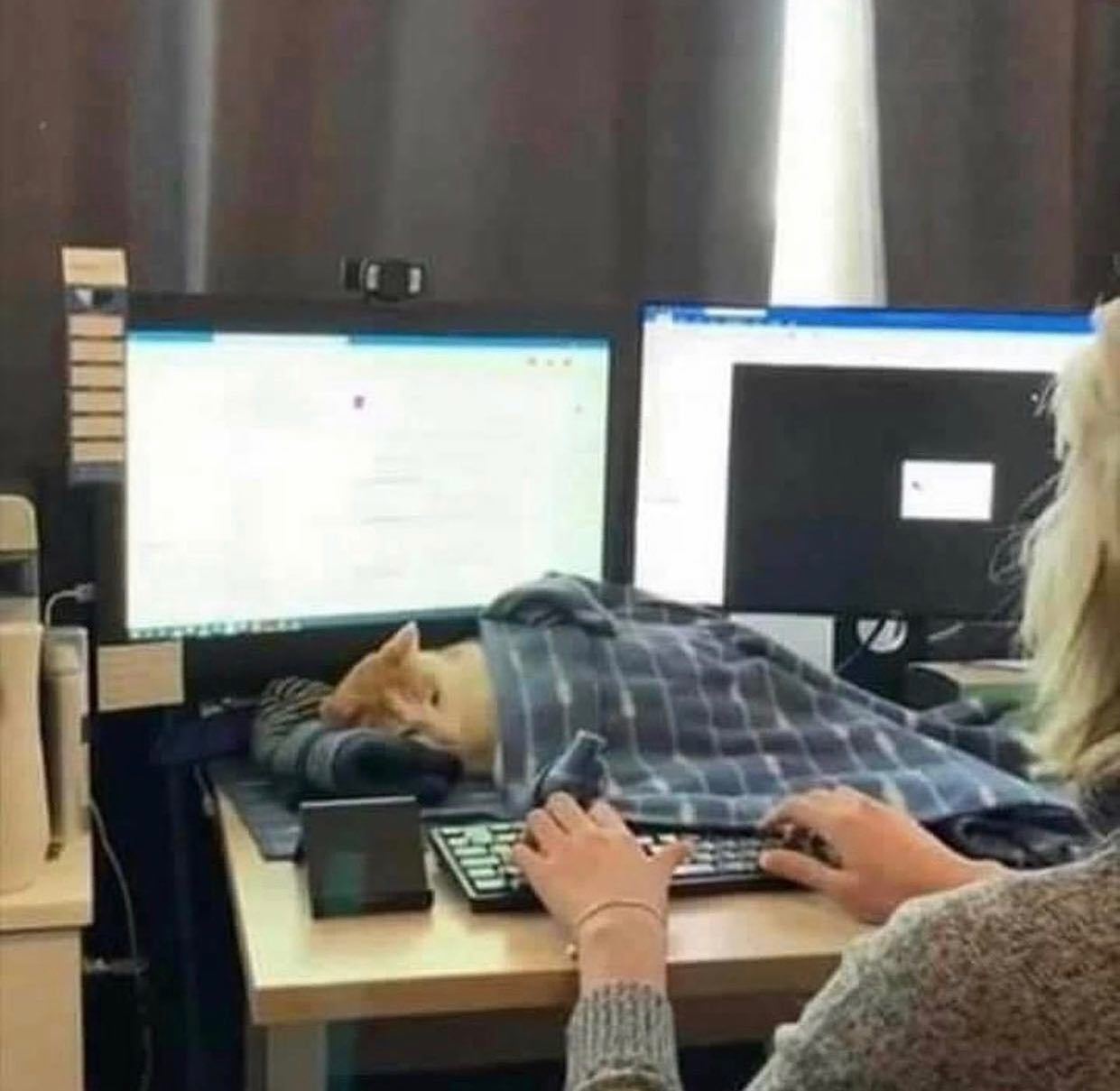 @someones.therapist 🐈  Kaynak