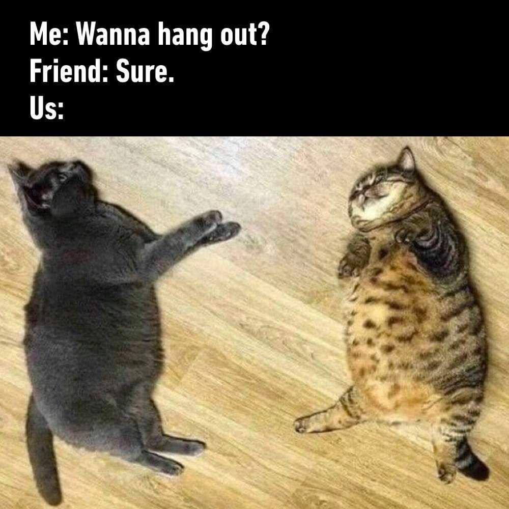 Well, I did get out of my...