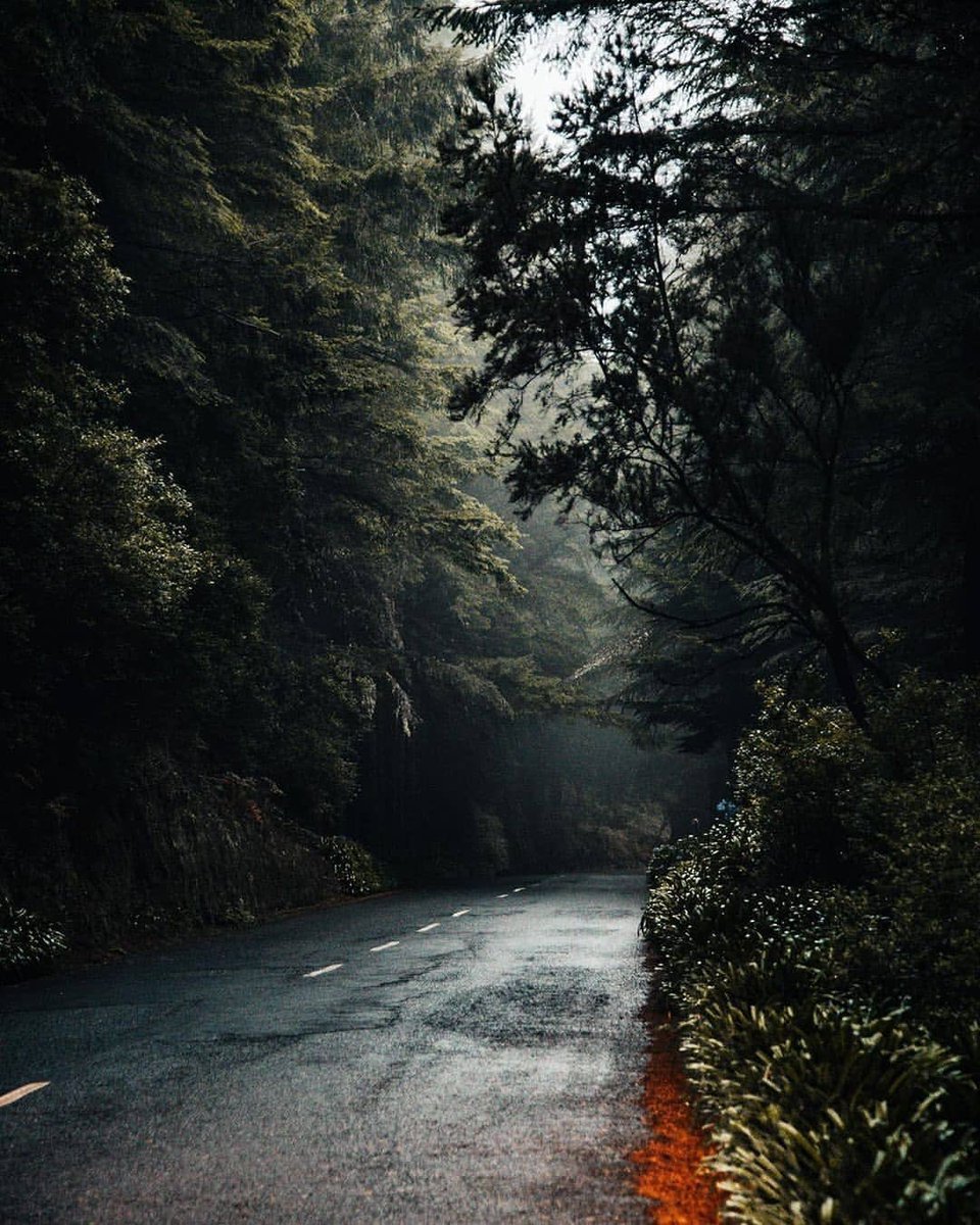 🇵🇹Madeira'daki Büyülü...