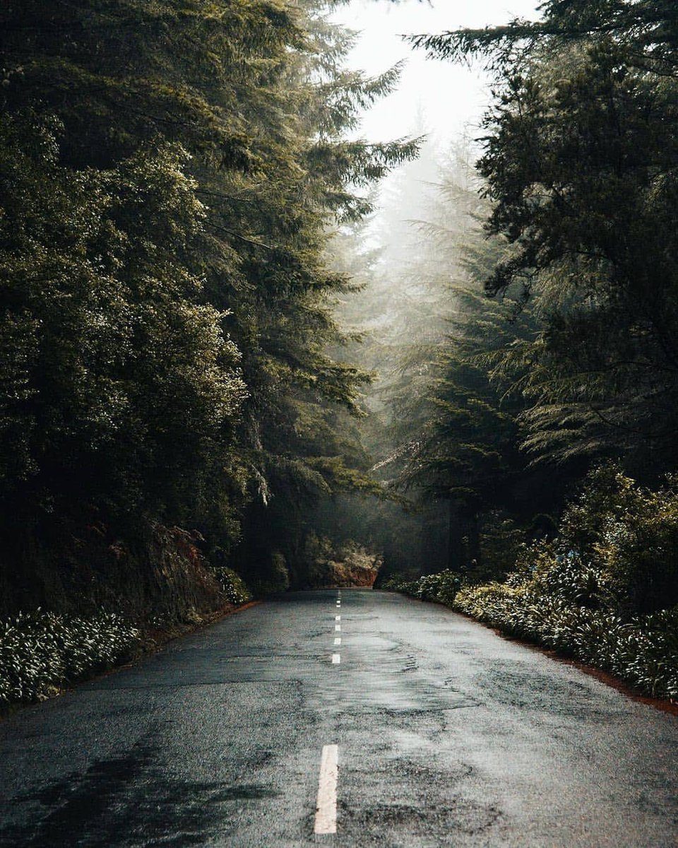 🇵🇹Madeira'daki Büyülü...