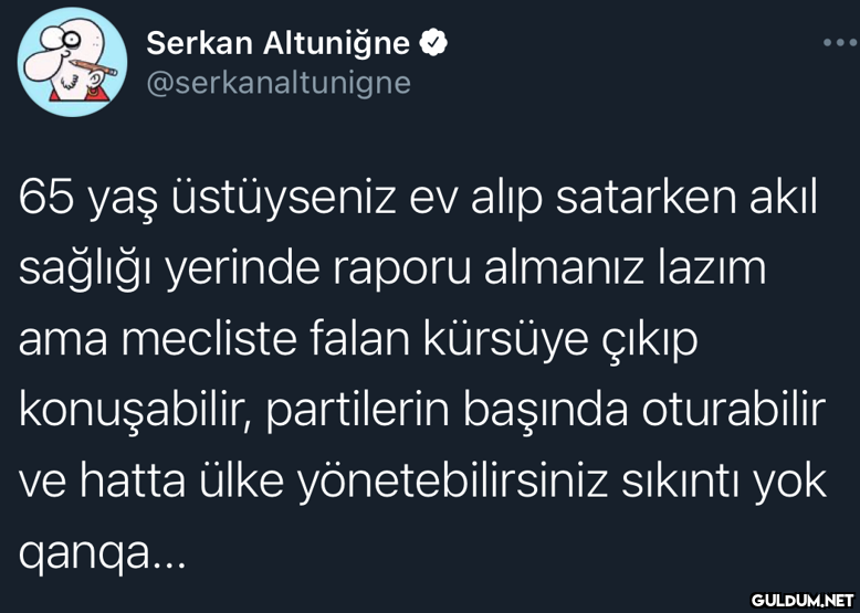 Serkan Altuniğne...