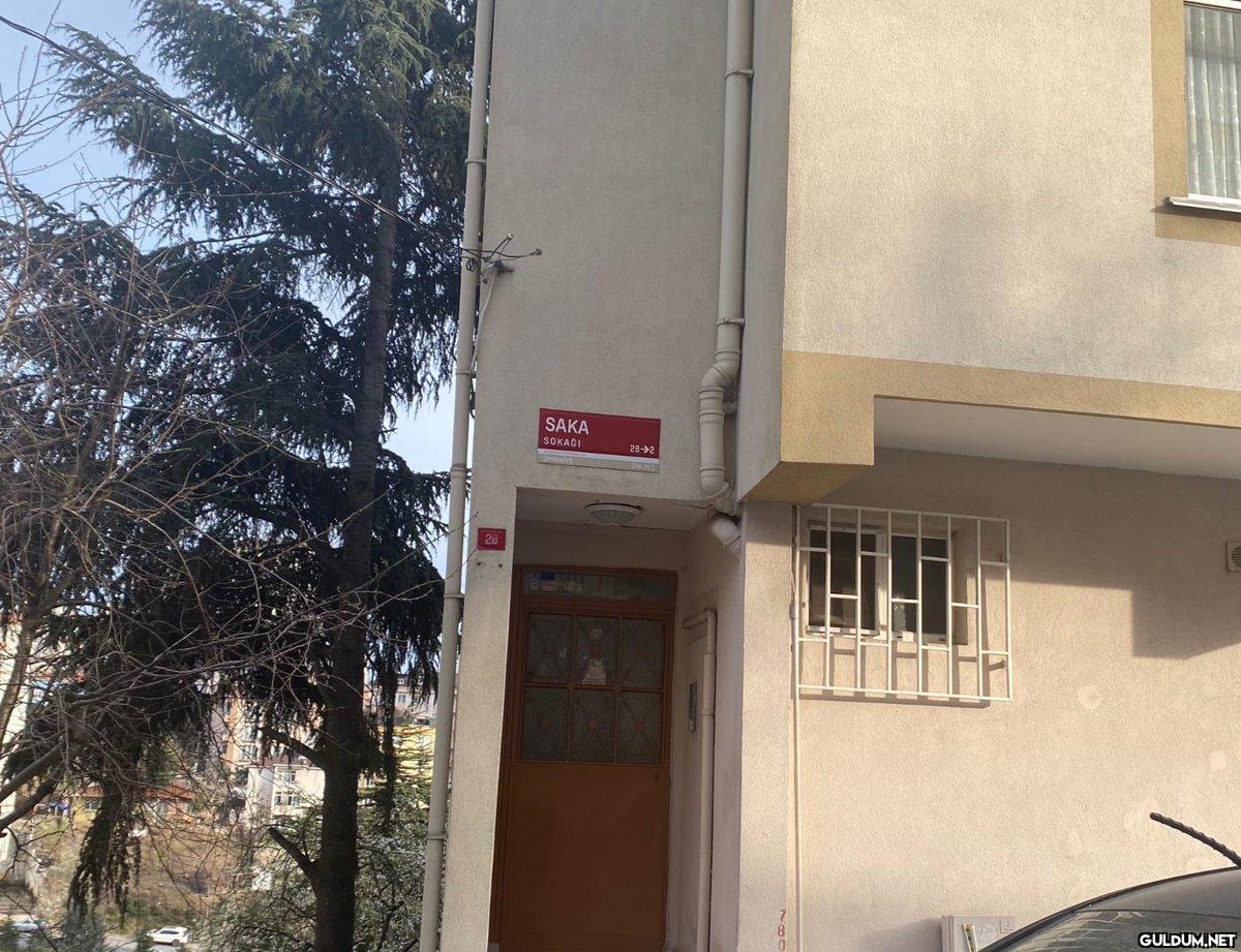 Bu sokak saka mı...