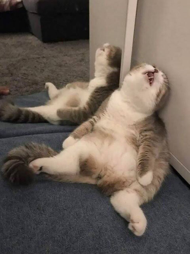 * evde fitness programı...