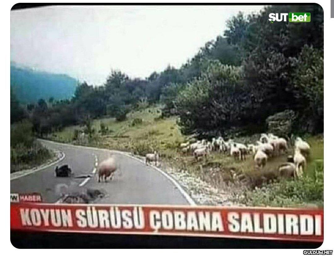 Nasip olur mu?...