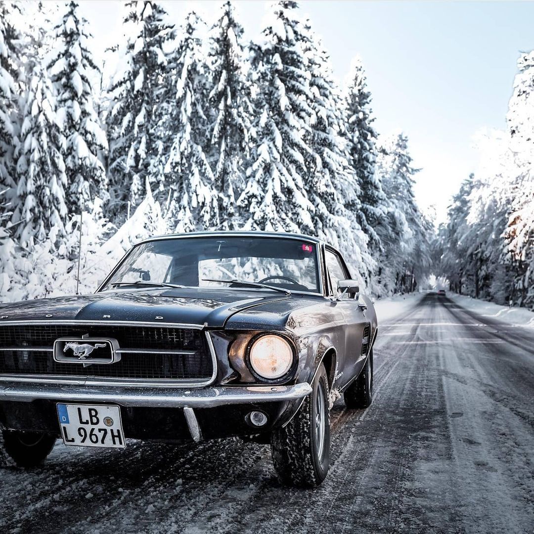 Mustang...